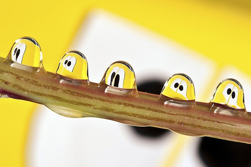 Drops with Faces on Stem