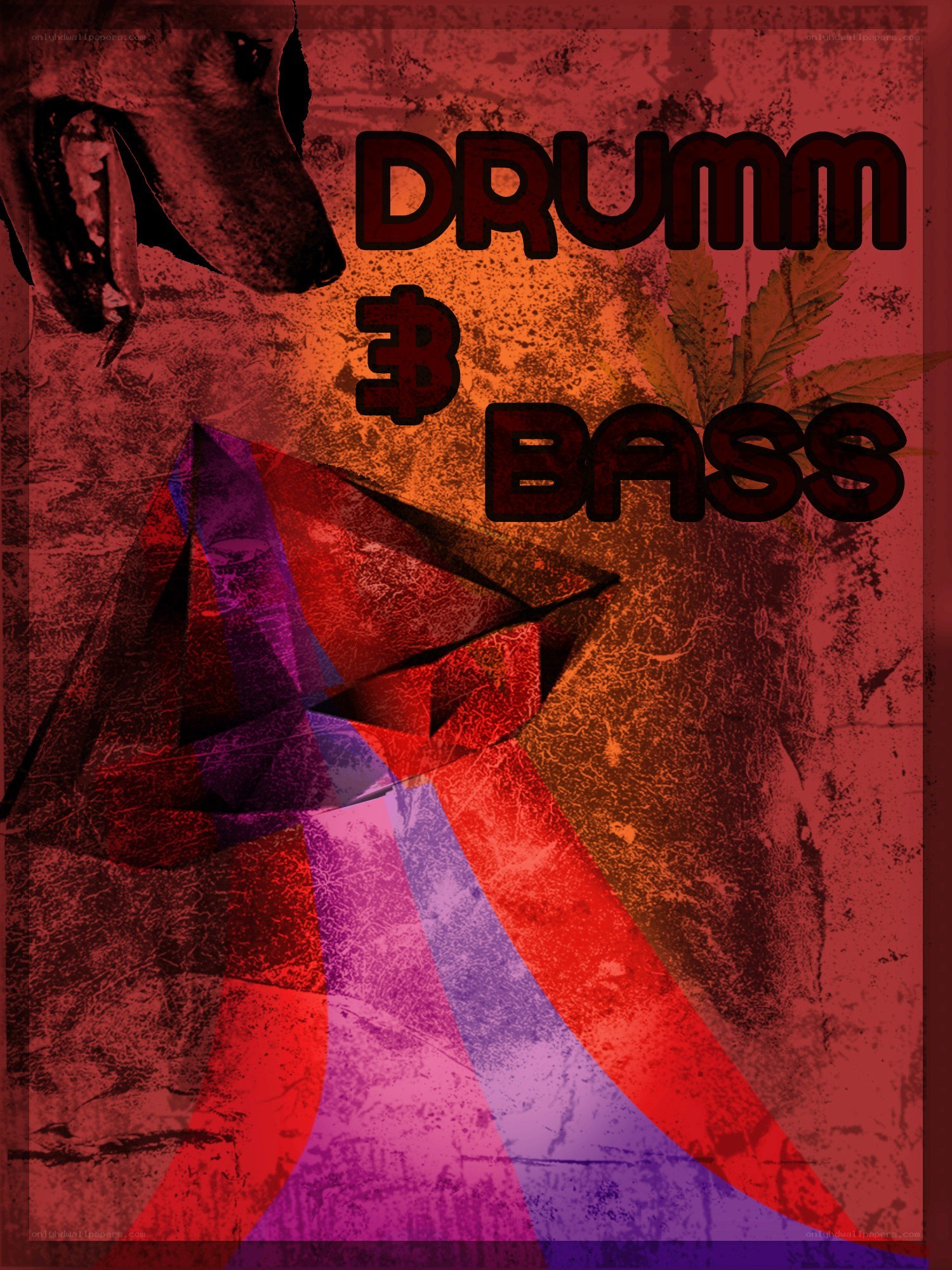 Drumm Bass album cover