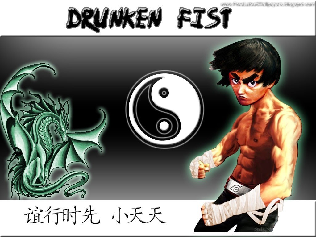 Drunken Fist Fighter