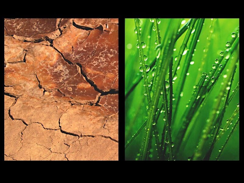 Dry cracked earth and green grass