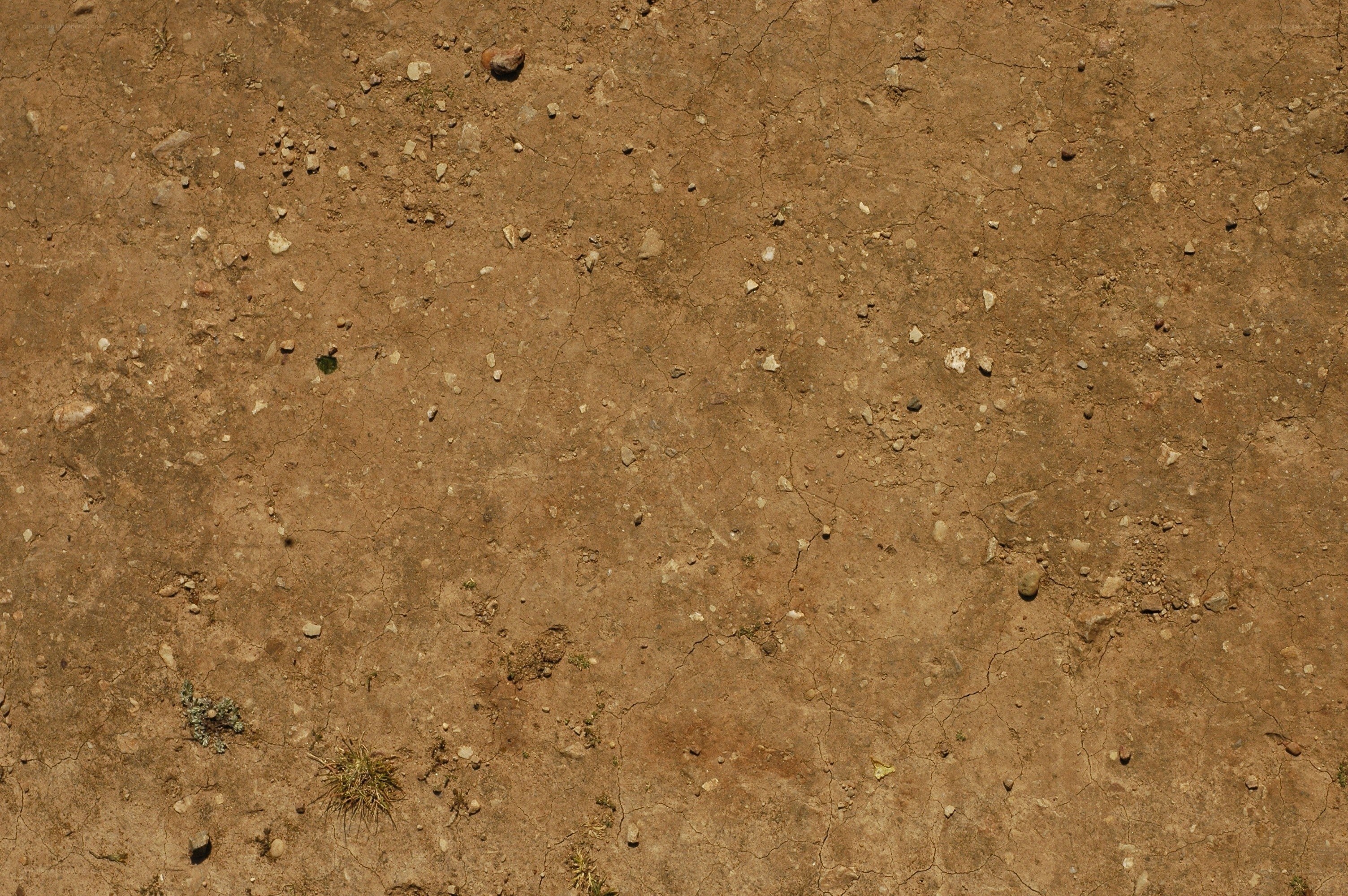 dry cracked earth surface
