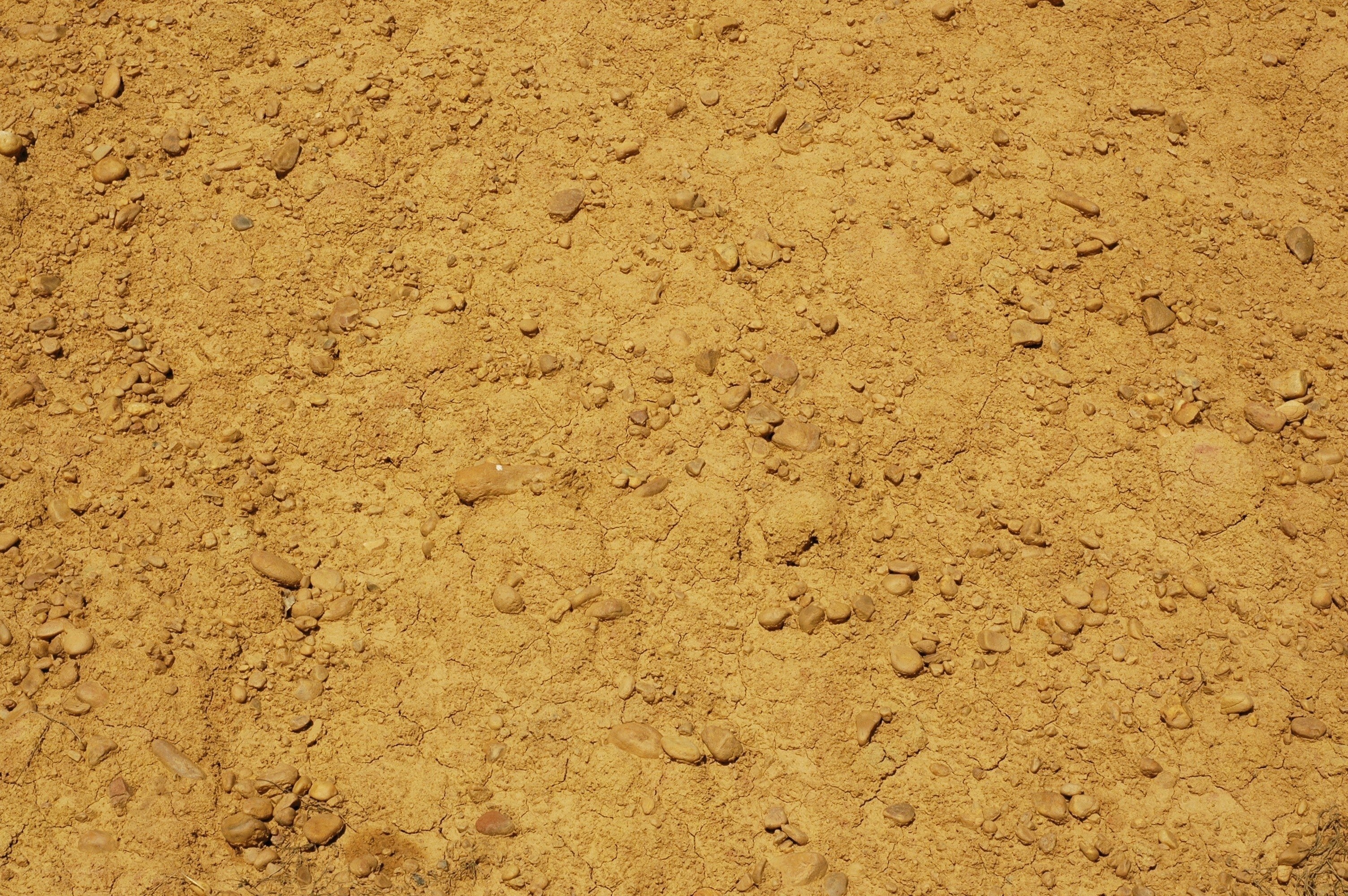 dry cracked earth with pebbles