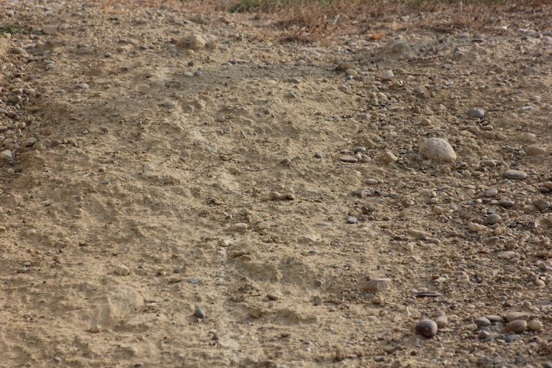 dry dirt path with pebbles