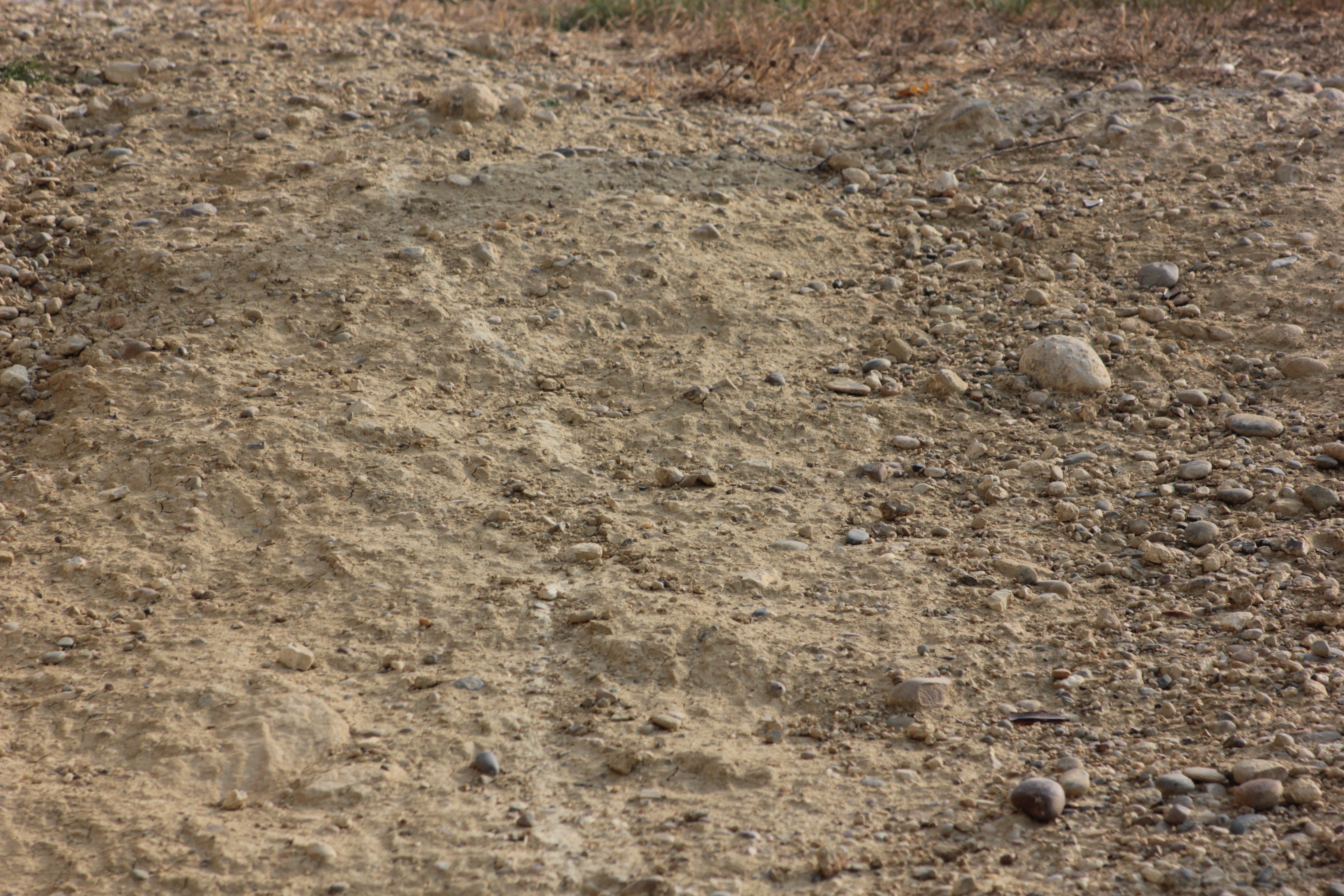 dry dirt path with pebbles