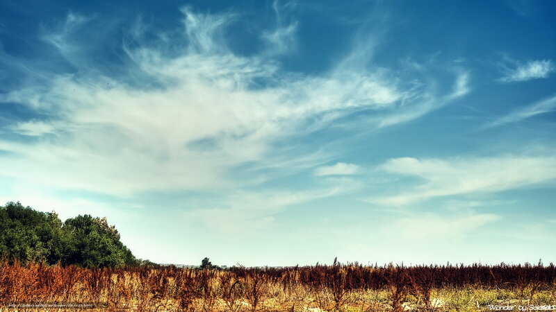 Dry Field under Cloudy Sky — Blue