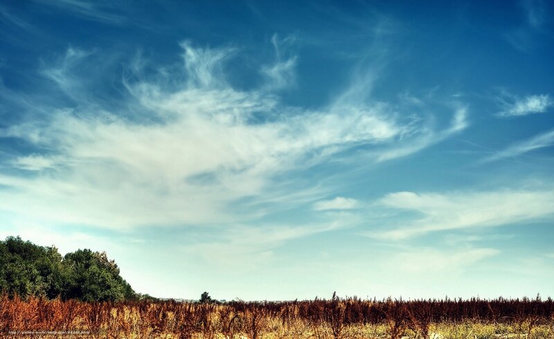 Dry Field under Cloudy Sky