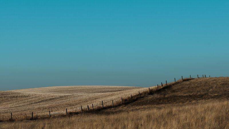 Dry Field with Fence