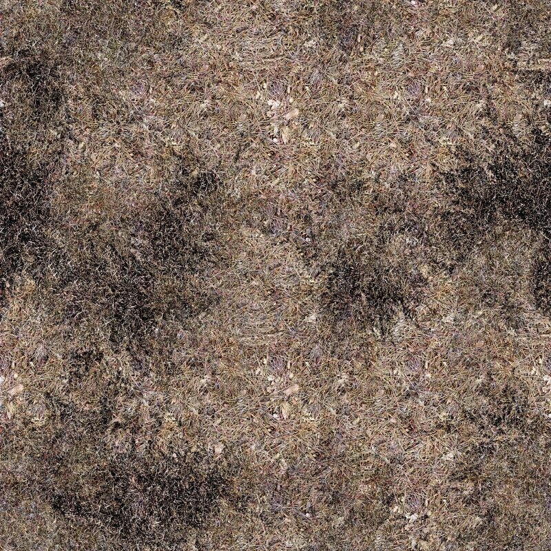 dry grass and pine needles