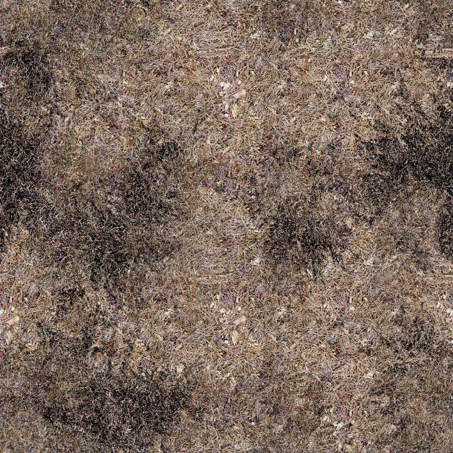 dry grass and pine needles