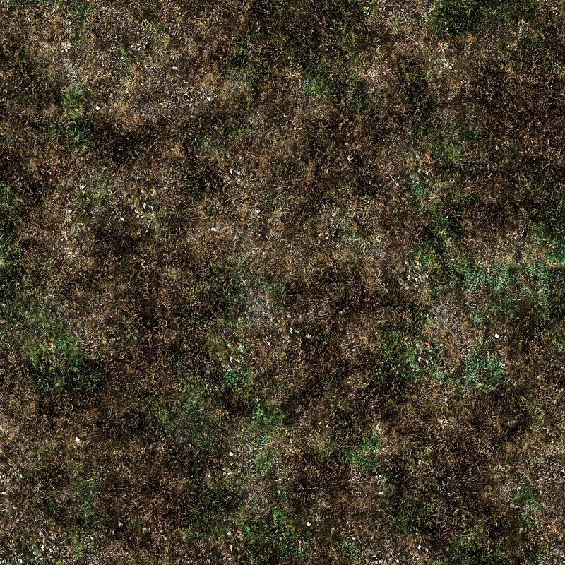 Dry Grass and Soil