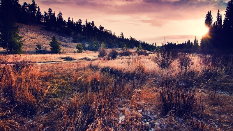 Dry Grass Field at Sunset