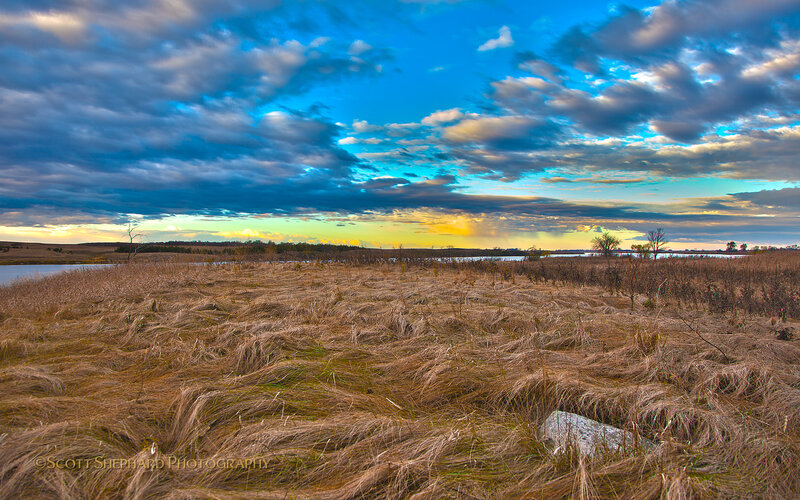Dry Grass Field