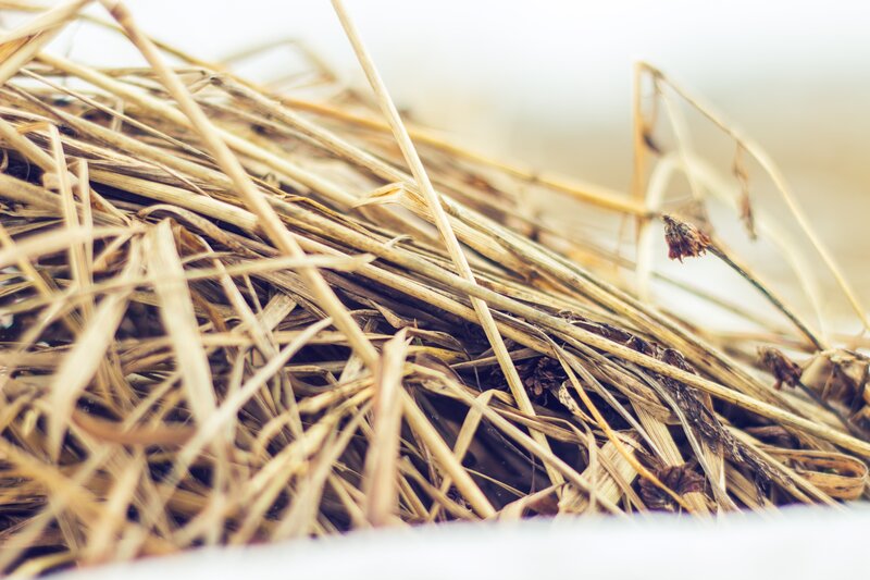 Dry Grass Pile