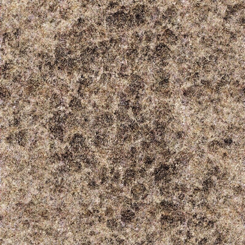 dry grass texture