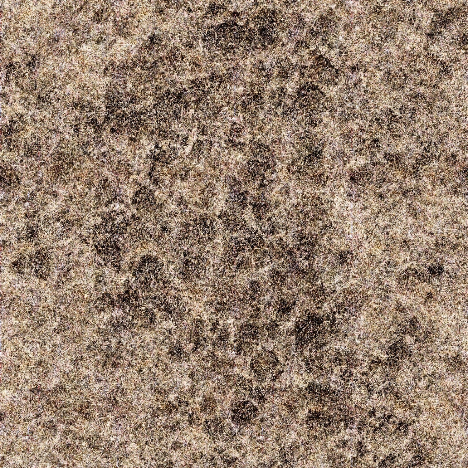 dry grass texture
