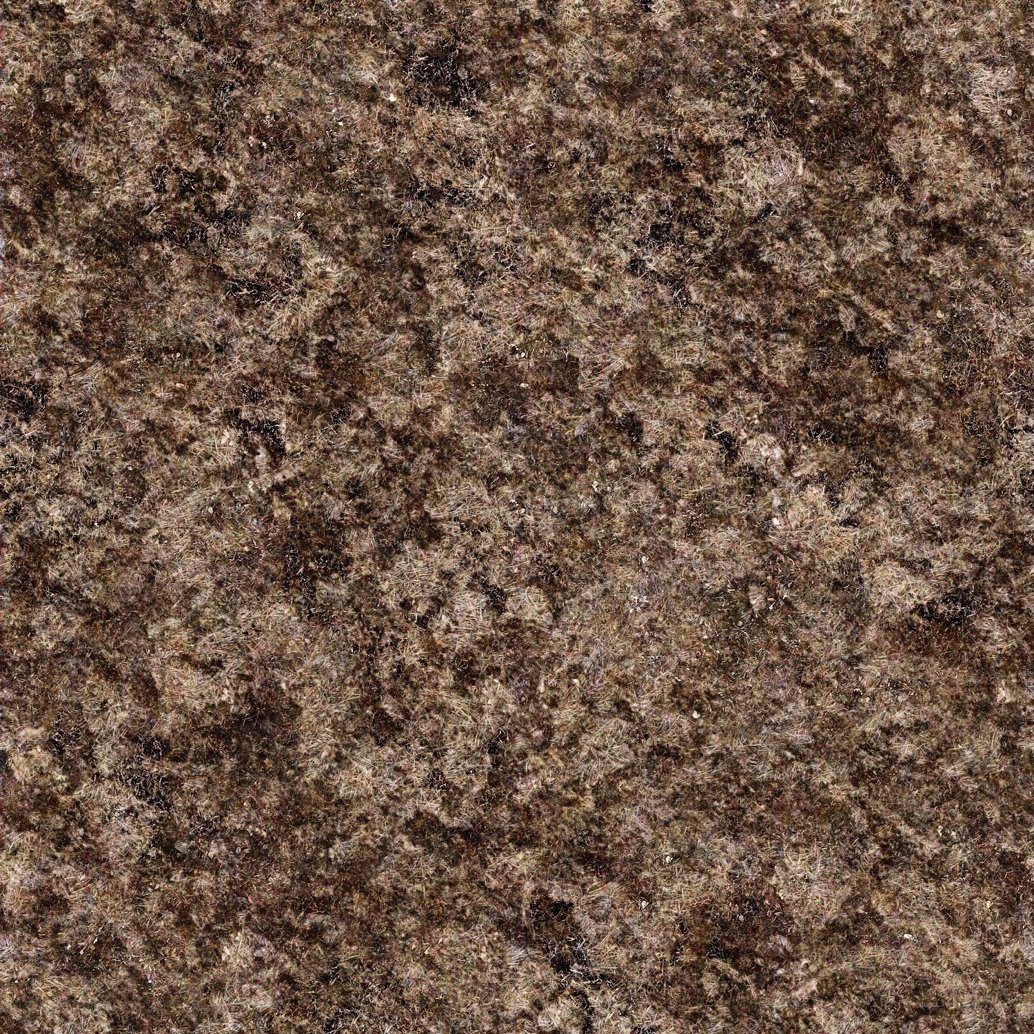 dry grass texture