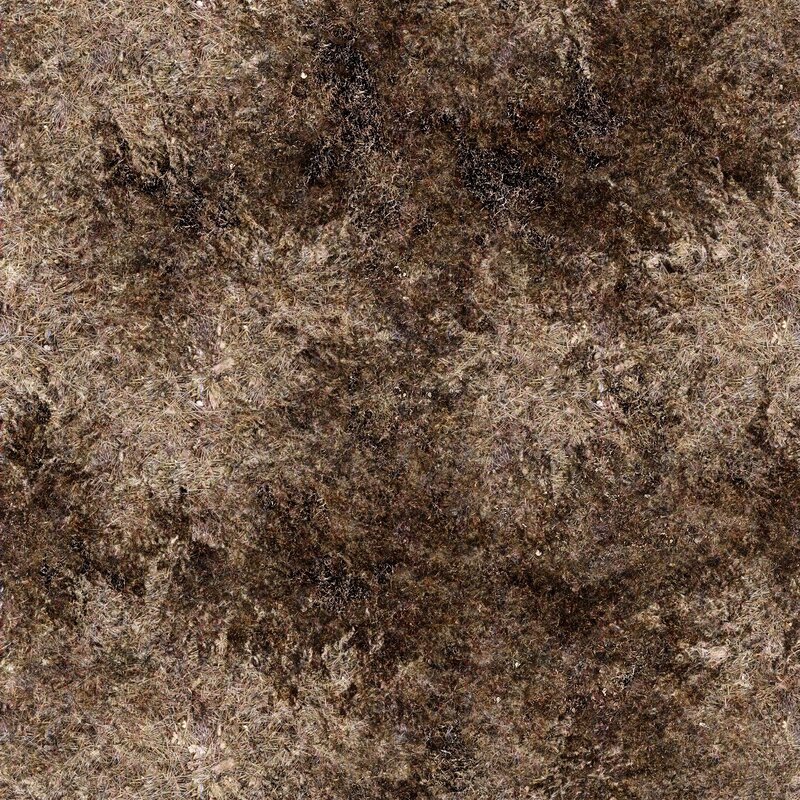dry grass texture