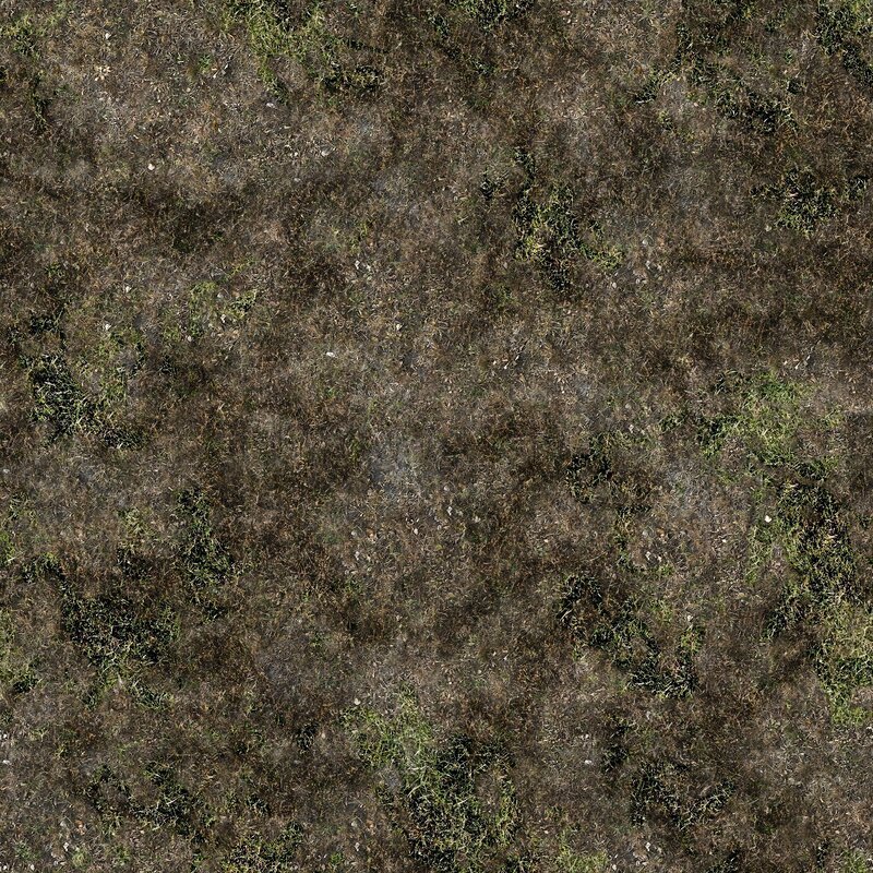 dry grass texture