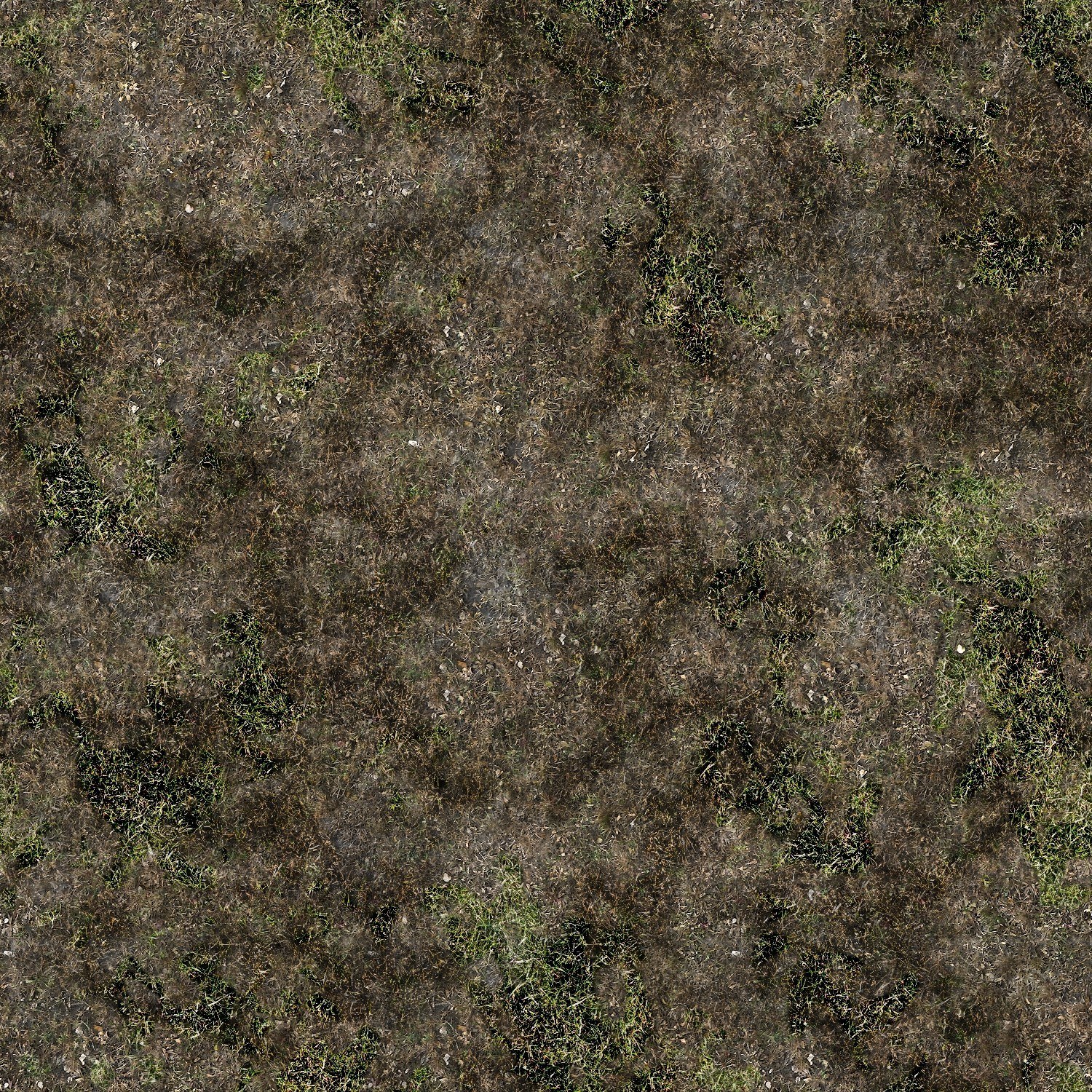 dry grass texture