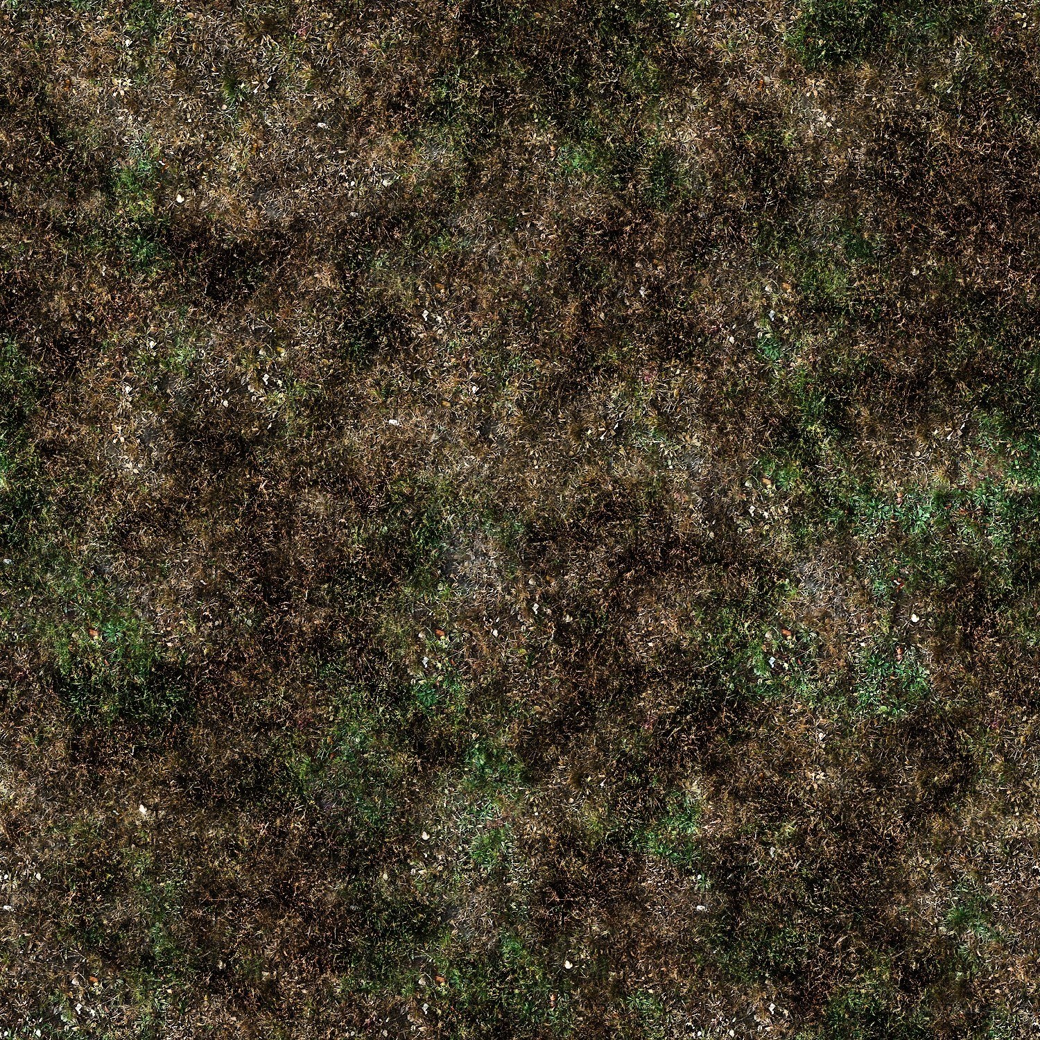 dry grass texture