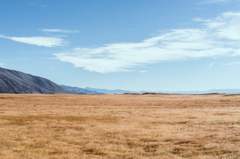 Dry Grassland Plain — Blue