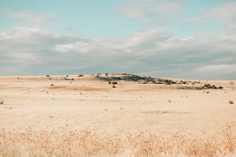 dry grassland under cloudy sky