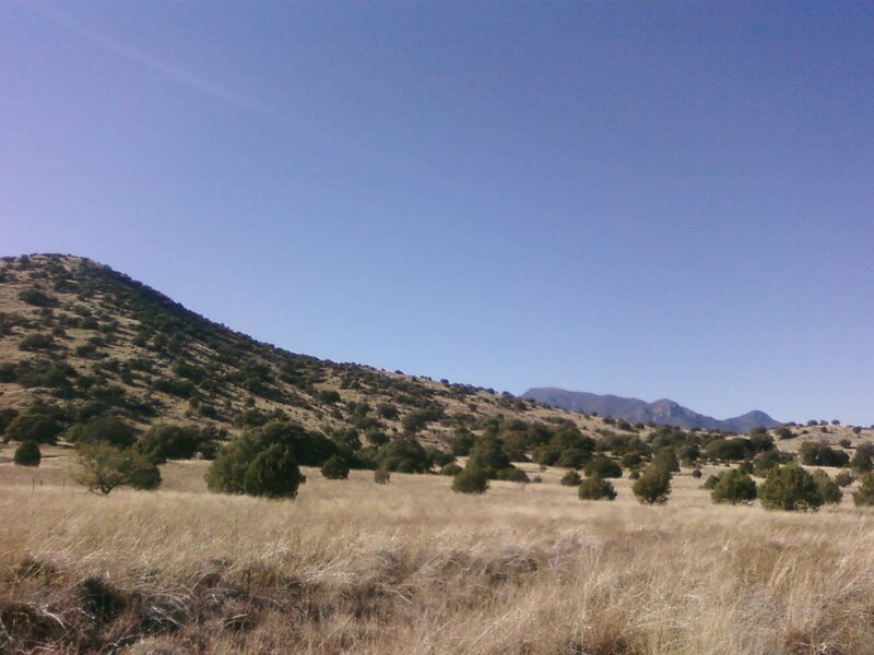 Dry Grassland with Hills