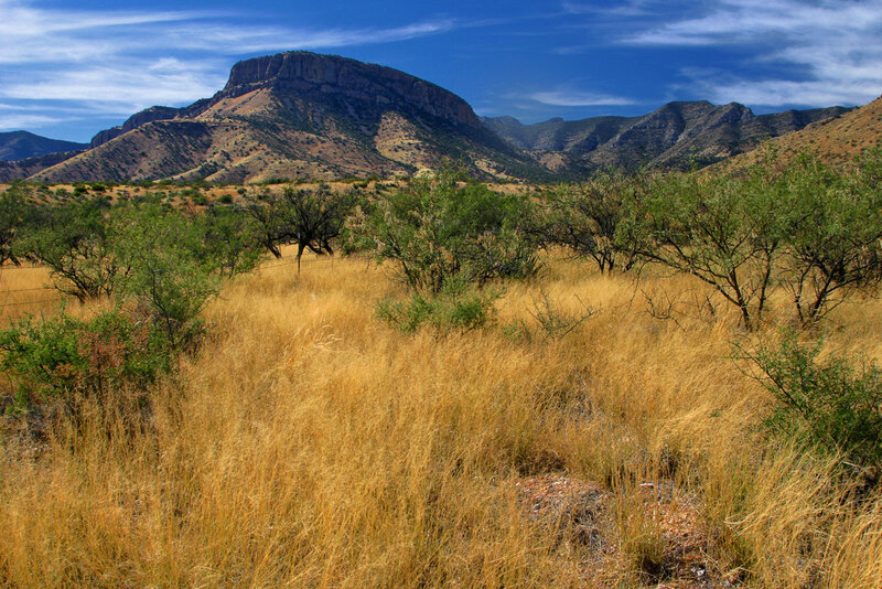 Dry Grassland with Mountains — Brown