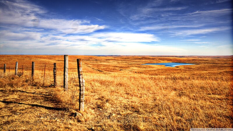 Dry Grassland with Pond