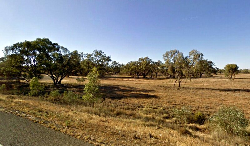 Dry Grassland with Trees
