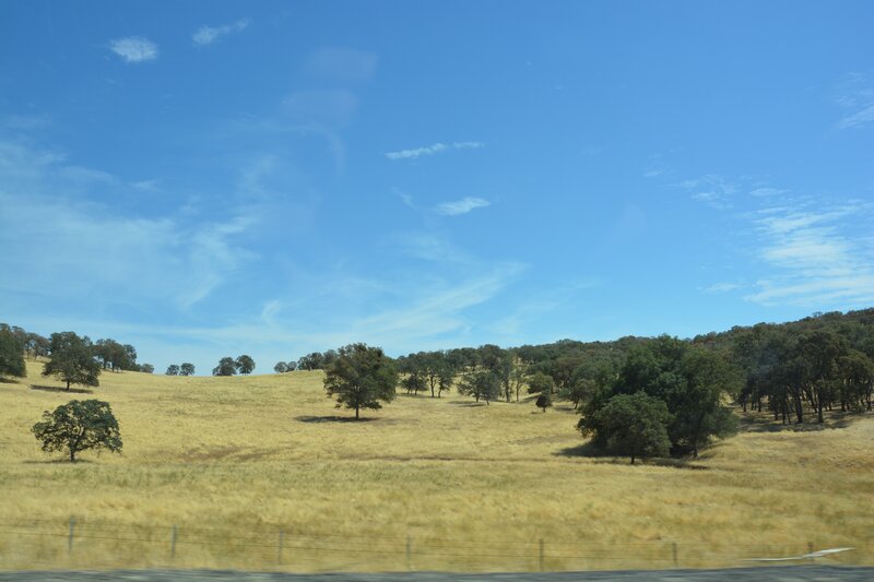 Dry Grassy Hills
