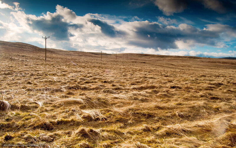 Dry Grassy Hillside — Brown, Dramatic, Afternoon