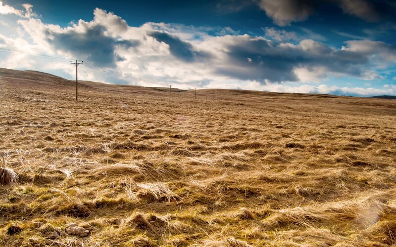 Dry Grassy Hillside — Brown, Dramatic