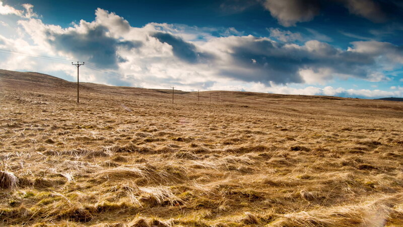 Dry Grassy Hillside — Brown