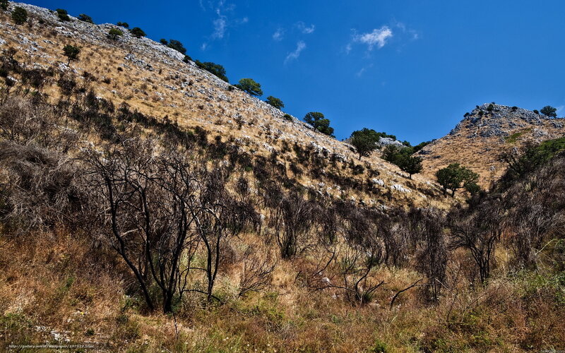 Dry hillside under blue sky