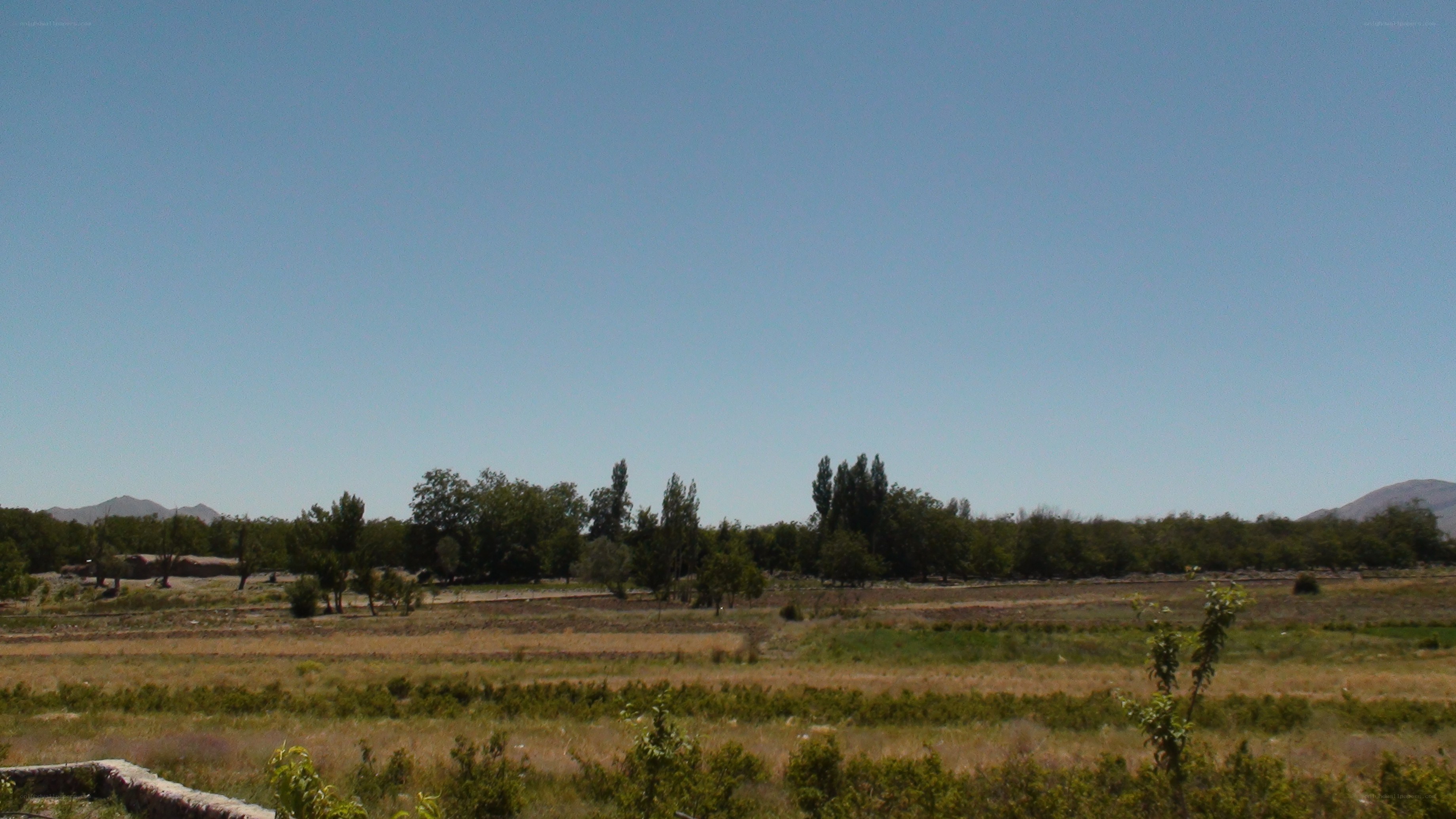 dry landscape with trees and mountains