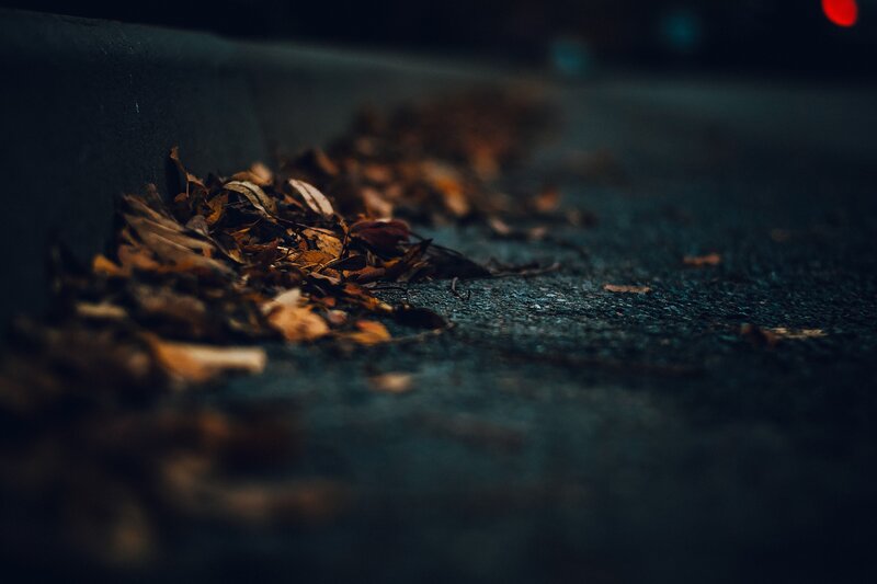 Dry Leaves on Pavement