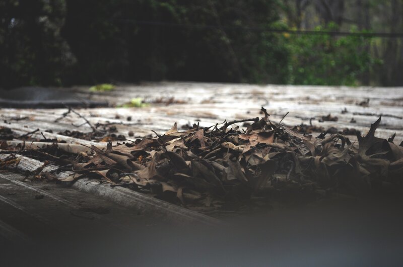 dry leaves on wooden surface