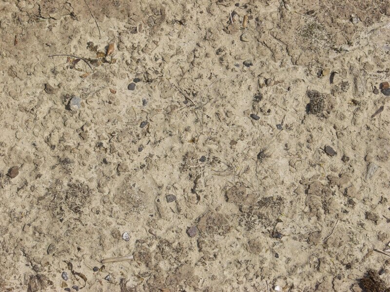 dry muddy ground surface