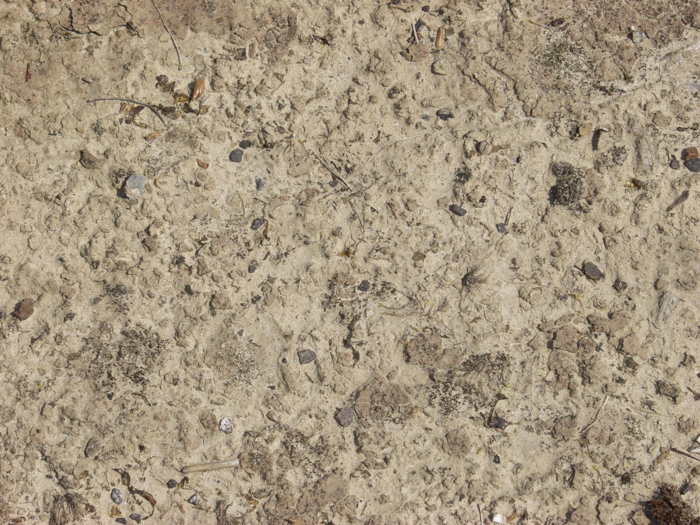 dry muddy ground surface