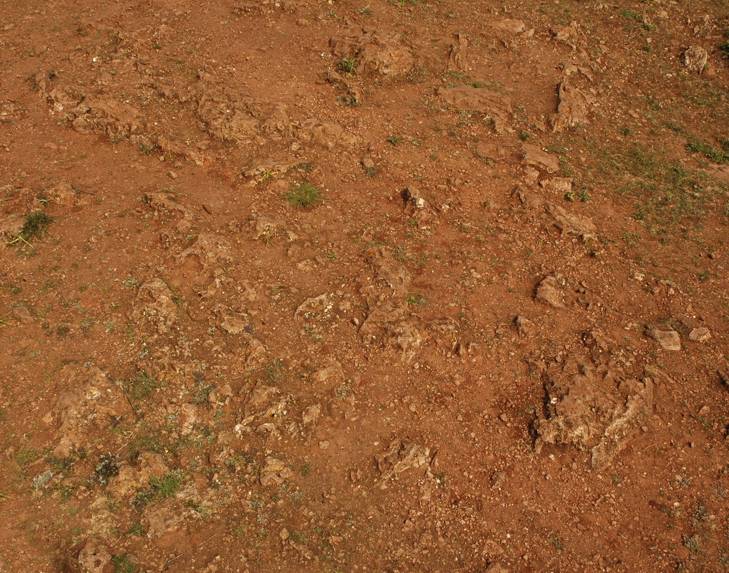 dry red soil with rocks