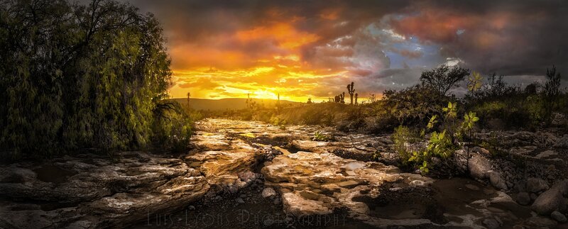 Dry Riverbed at Sunset