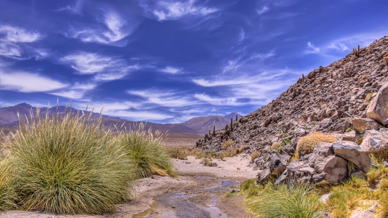 Dry Riverbed in Desert