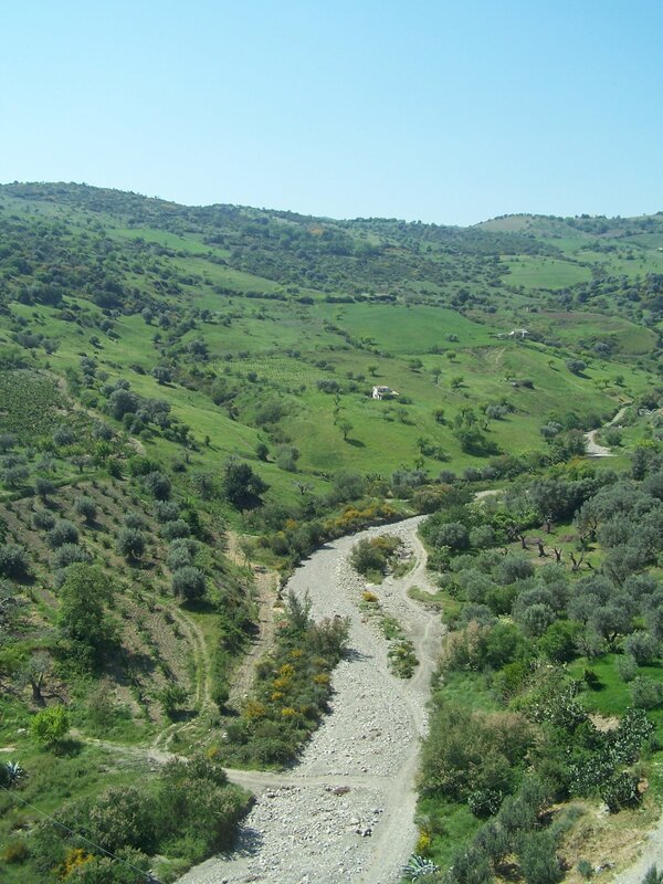 Dry Riverbed in Valley