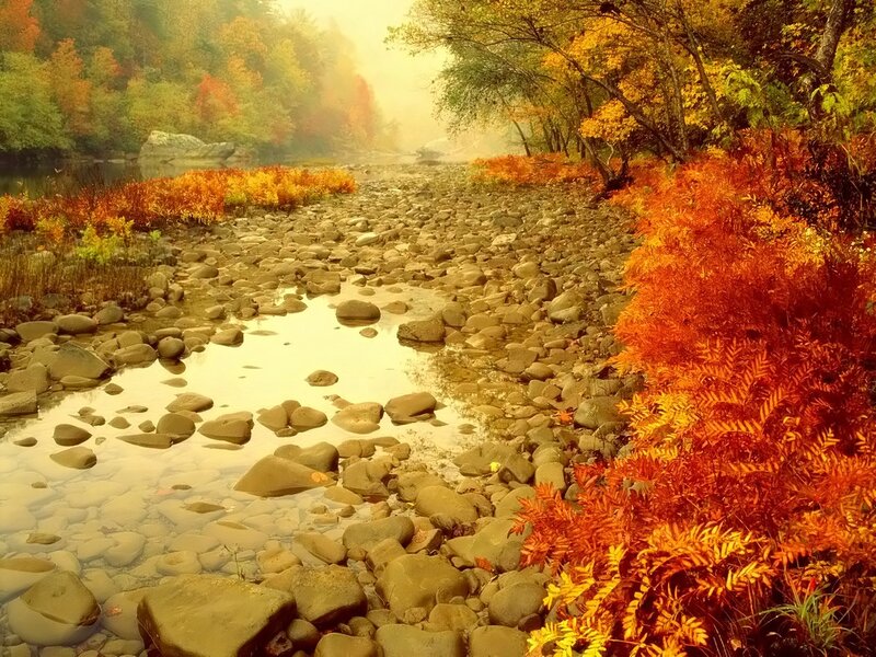 Dry Riverbed with Autumn Foliage
