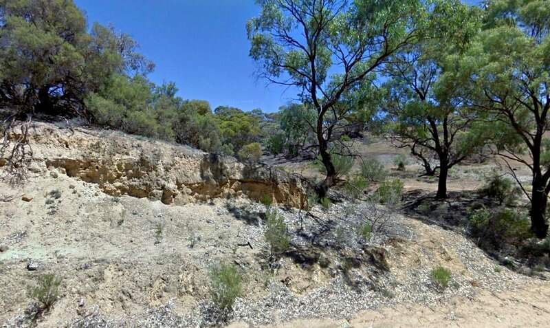 Dry Riverbed with Trees