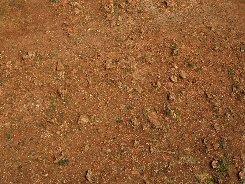 dry rocky soil with sparse grass