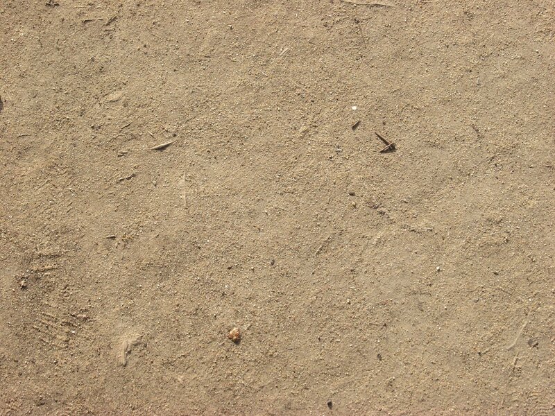 Dry Sandy Ground — Brown