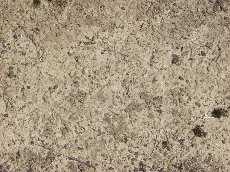 dry sandy ground surface