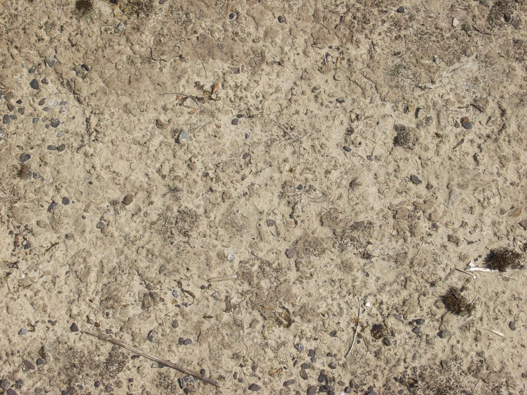dry sandy ground surface